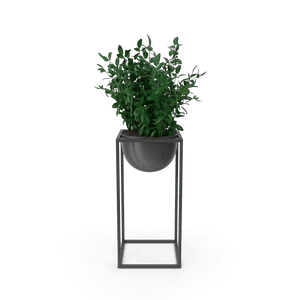 home decoration
